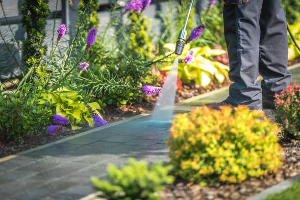 Professional Pressure Washing Services in Kutztown University, PA